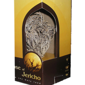 SMALL ROSE OF JERICHO